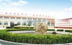 Shandong Shofine Seed Technology Co., Ltd. company overview - view 3