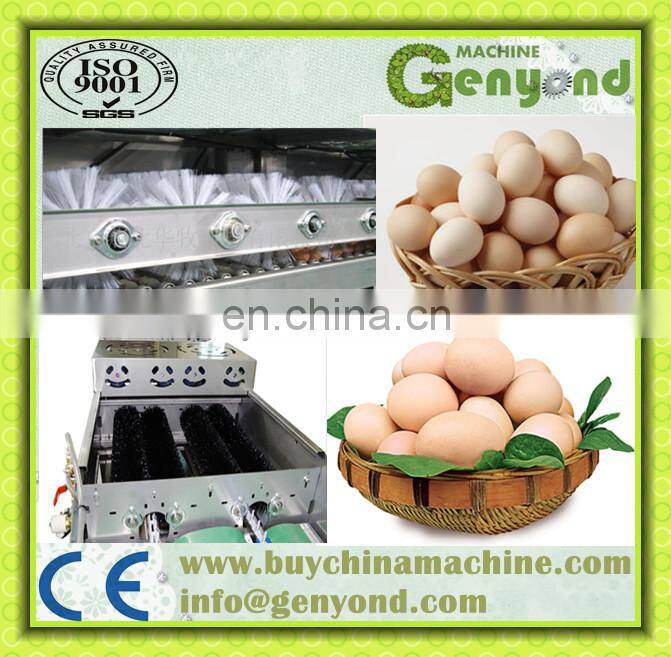 automatic egg washer/chicken egg washing machine