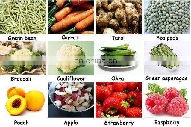 Fruit Vegetable IQF Quick Freezing Machine