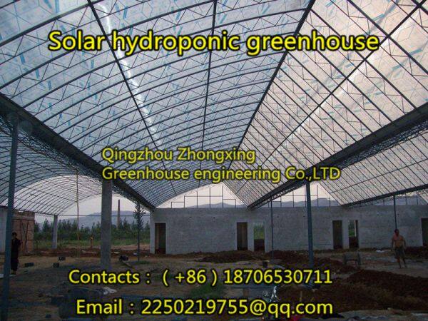 Zhongxing Greenhouse Engineering Co.,Ltd