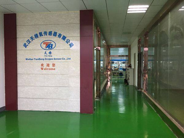 Wuhan TIANBANG Oxygen Sensor Co., Ltd company overview - view 2