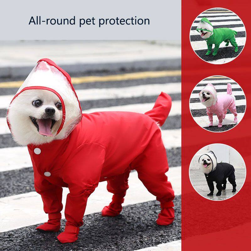 red Weenie Dog Raincoat
