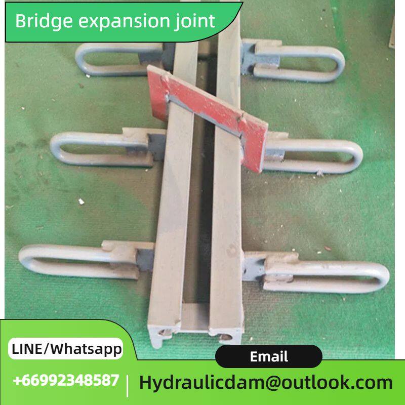 Bridge Expansion Joints: Adapting to Environments and Diverse Applications