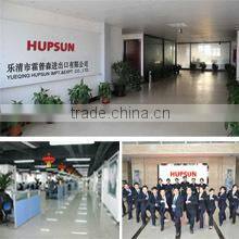 Yueqing Hupsun Import And Export Company Limited company overview - view 1