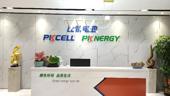 Shenzhen PKCELL Battery Co.,Ltd company overview - view 1