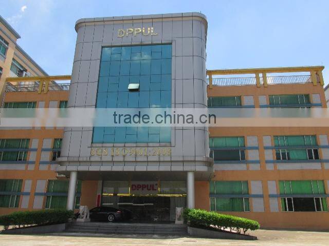 Zhongshan Dppul Electronic Co., Ltd. company overview - view 2