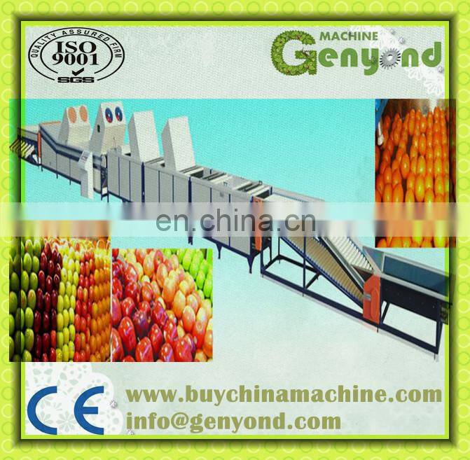 citrus waxing machine fruit washing and waxing machine fruit waxing machine