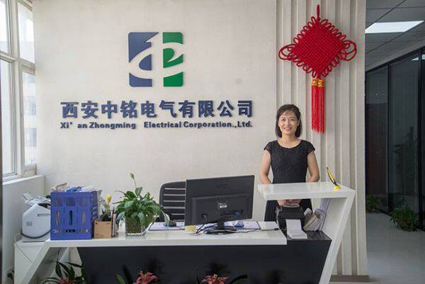 Xi'an Zhongming Electrical Co.,Ltd company overview - view 1
