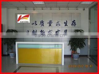 Shenzhen Kayong Electronic Technology Co., Ltd. company overview - view 1