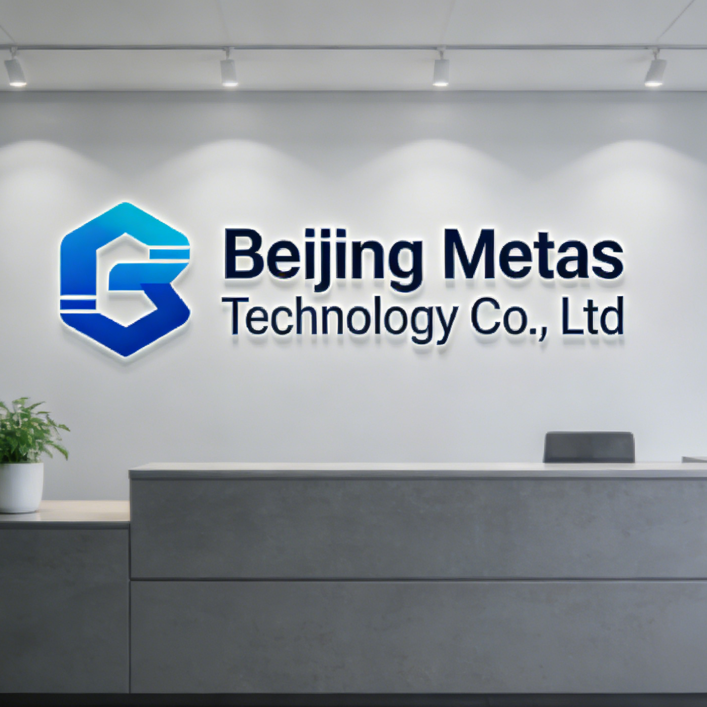 Beijing Metas Technology Co., Ltd company overview - view 1