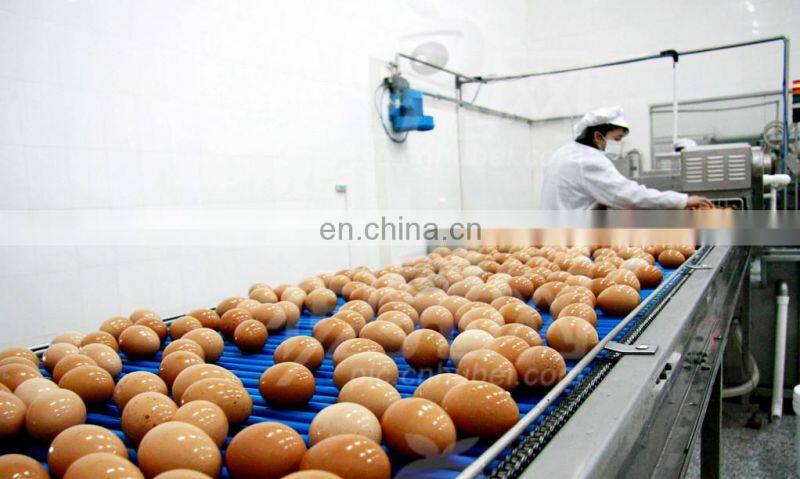 Factory Genyond Complete egg white & yolk liquid making machine and whole egg powder production plant processing line