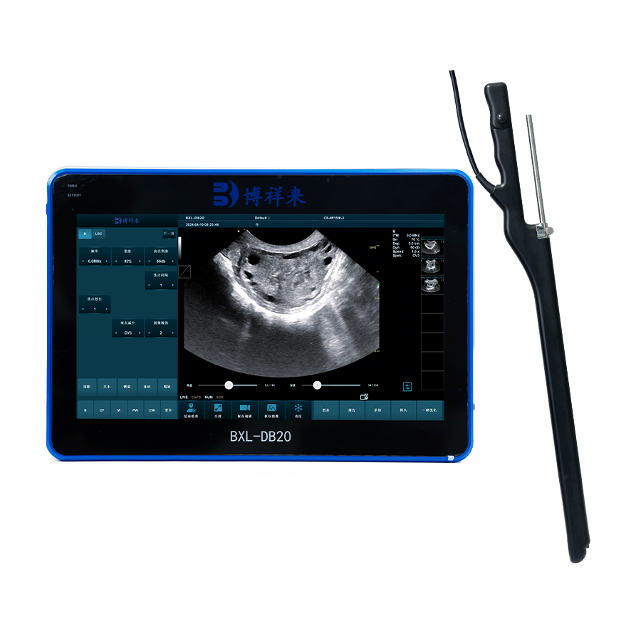 BXL-DB20 活体采卵-1