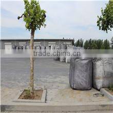 Qingdao Develop Import & Export Co., Ltd. company overview - view 1