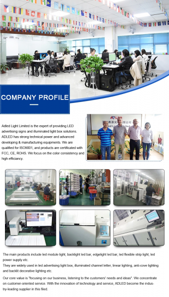 Adled Light Limited company overview - view 1