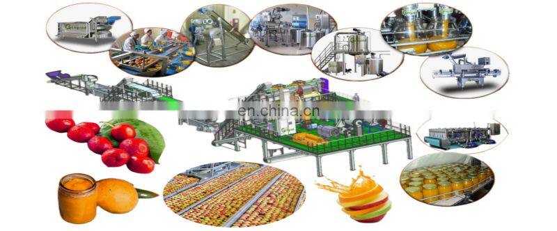 Factory Genyond fruit grape paste honey jam puree syrup processing plant grape juice production line making machine equipment
