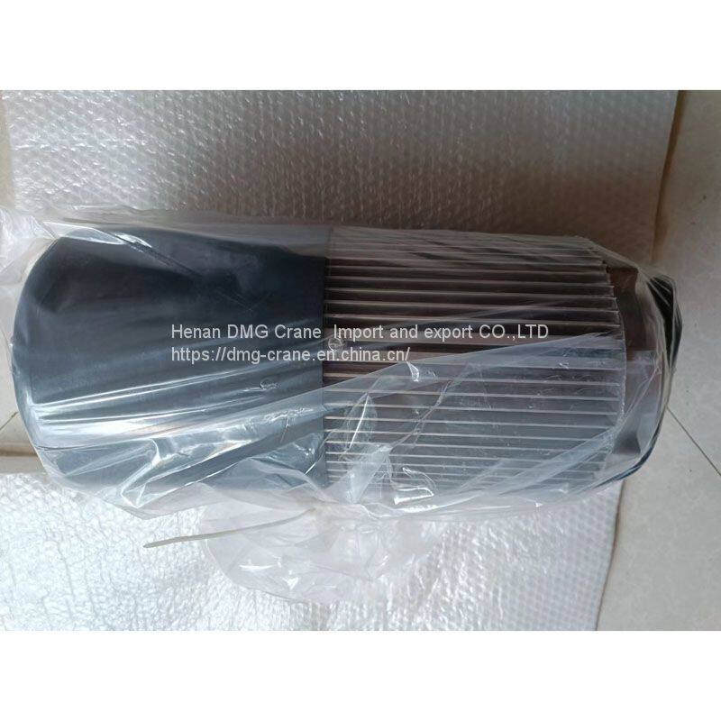 R&M Konecranes Hoist motor MF11X-106N166P85006E-IP55