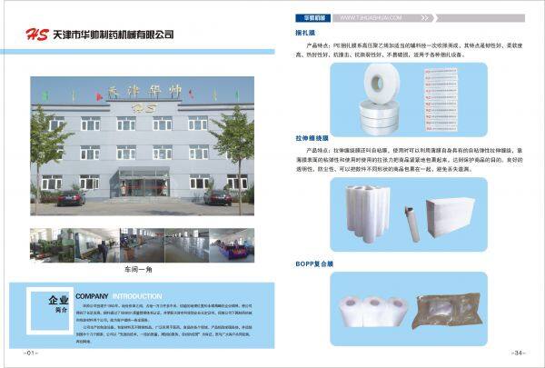 Tianjin Huashuai Technology Co., Ltd. company overview - view 2