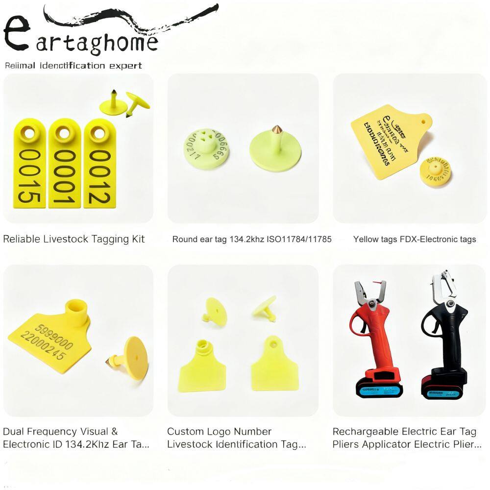 RFID Ear Tags for Cattle, Sheep & Pigs – Portfolio Extension Opportunity