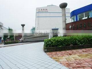 Chongqing Lisong Electromechanical Equipment Co., Ltd. company overview - view 1