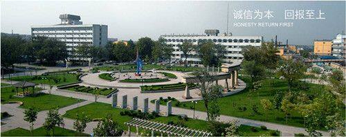 Chalco Shandong Co., Ltd company overview - view 2