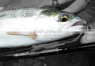 Pioneer Technology Nz Limited company overview - view 2