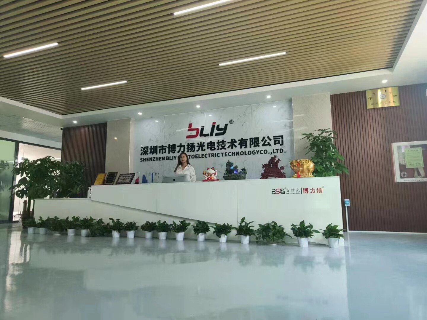 Shenzhen BLIY Photoelectric Technology Co., Ltd. company overview - view 1