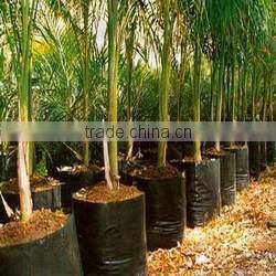 Pt. Unison Prima Utama company overview - view 2