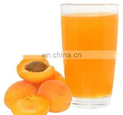 fruit juice pomegranate juice juice production line