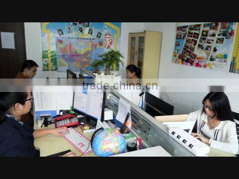 Ningbo Grand Star Electric Co., Ltd. company overview - view 1
