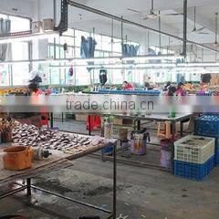 Quanzhou Ezway Light Industry Co., Ltd. company overview - view 3