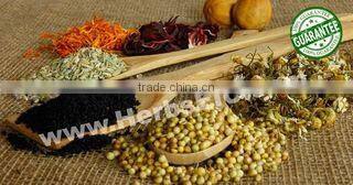 The Egyptian International Center For Export company overview - view 2