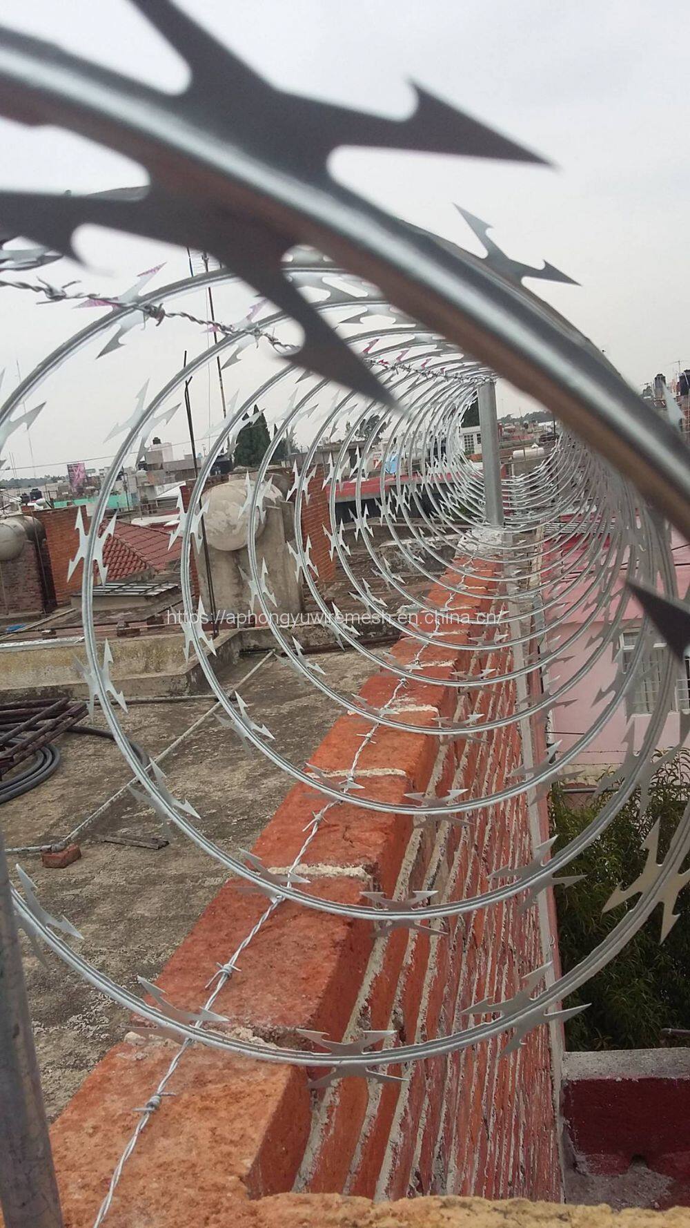 2CB7A829-D365-4360-85DB-01DC524ABF42(20210510-164