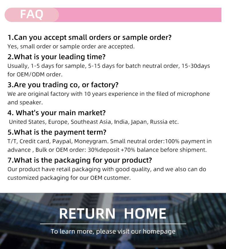 Portable wireless bluetooth party christian music songs with home singing karaoke machine mics mini system speaker