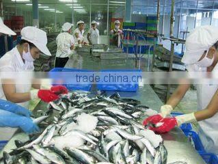 Viet Seafood And Agricultural Products Company Limited company overview - view 1