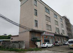 Dongguan Hengxiang Artificial Plant Co.,Ltd company overview - view 2