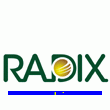Shanghai Radix Vacuum Metallising Co., Ltd.