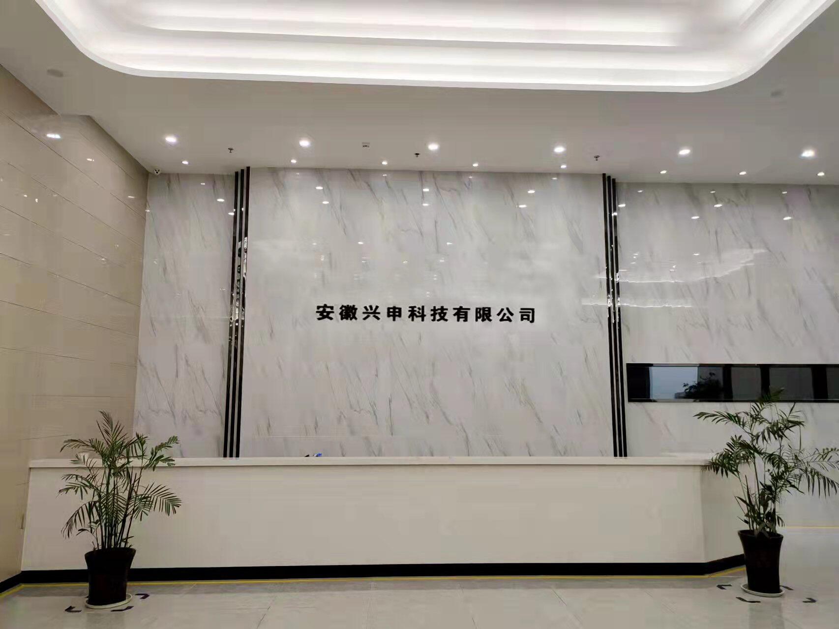 Anhui Xingshen Technology Co., Ltd. company overview - view 1