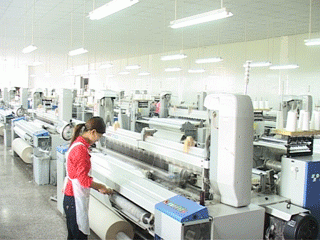 Wujiang Tianen Textile Development Co., Ltd. company overview - view 2