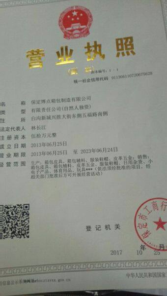 Baoding Bodian Luggage And Cases Bag Co.,ltd company overview - view 1