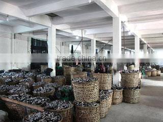 Chaozhou Chaoan Baoshan Flashlight Co., Ltd. company overview - view 3