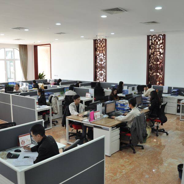 Fiona Laser Technology Development Co., Ltd. company overview - view 3