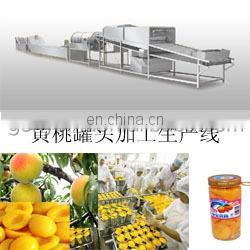 dried kiwi chips processing line