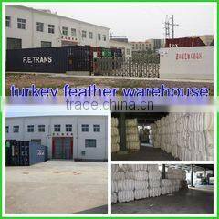 Henan Fukang Feather Co., Ltd. company overview - view 3