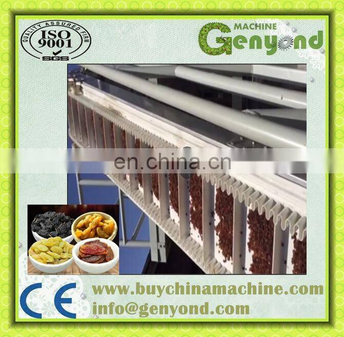 raisin making machine dried grapes making machine for sale