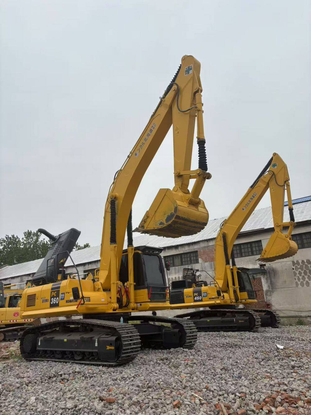 微信图片_20250412074329