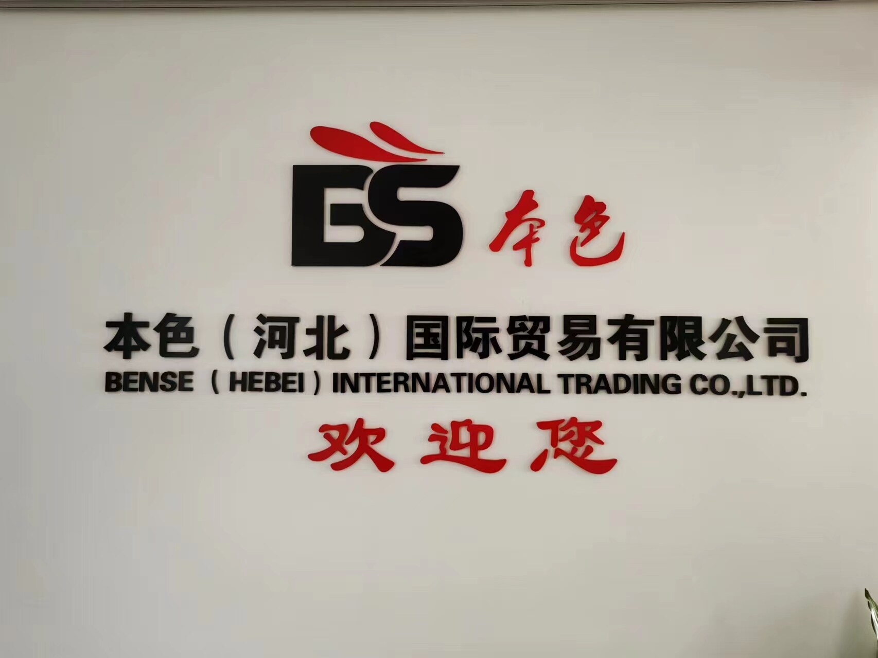 Bense (hebei) International Trading Co.,ltd company overview - view 1