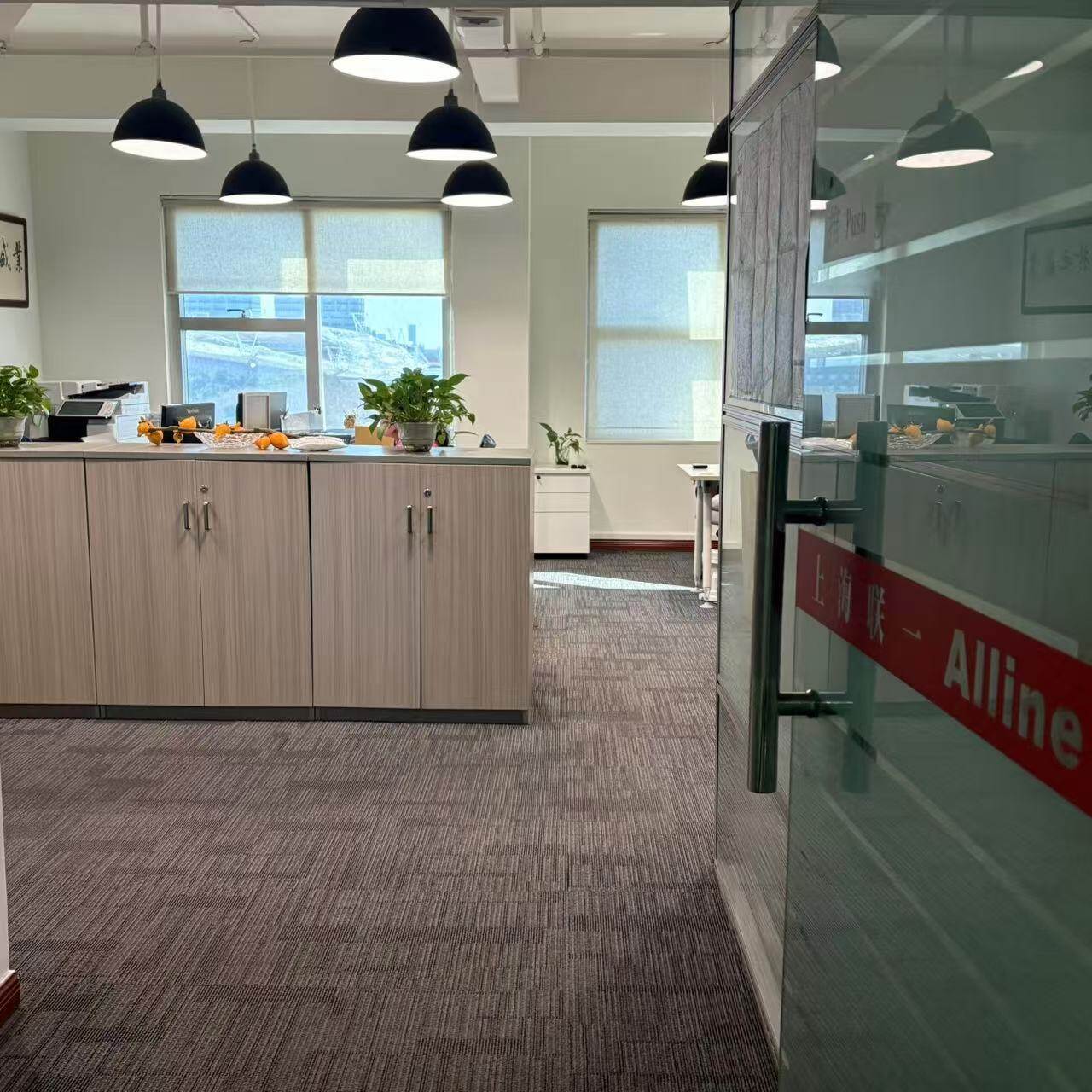 Shanghai Alline Digital Technology Co.,ltd company overview - view 1