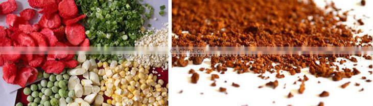 higher fruit and vegetable freeze dryer equipment