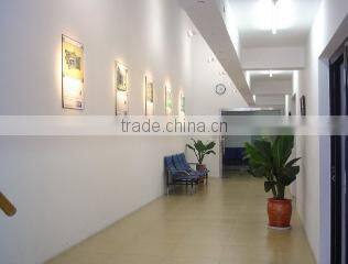 Shanghai MCP Corp. company overview - view 1