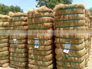 Gafoor Trading Company company overview - view 3